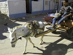 Bahariya IMGP4508